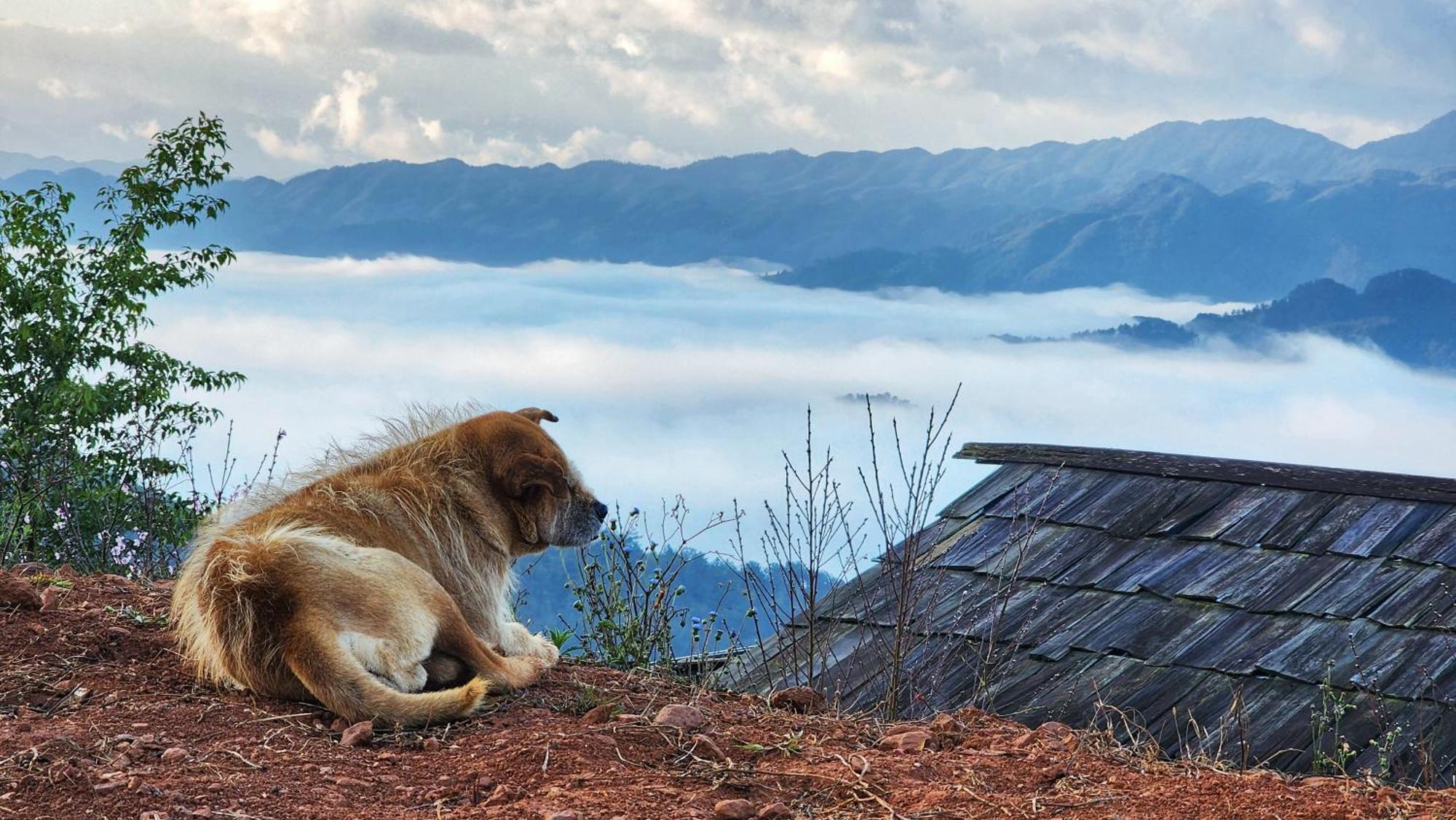 A Su Homestay Mu Cang Chai Exterior foto